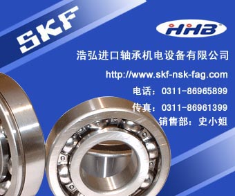 泰安NSK進(jìn)口軸承SKF進(jìn)口軸承-浩弘軸承經(jīng)銷部進(jìn)口軸承SKF進(jìn)口軸承