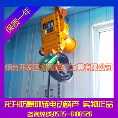 龍升防爆環(huán)鏈電動葫蘆報價【1~35噸/現(xiàn)貨供應】產(chǎn)品圖片