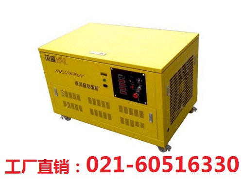 美國閃威汽油發(fā)電機(jī)柴油發(fā)電機(jī)發(fā)電電焊機(jī)產(chǎn)品圖片