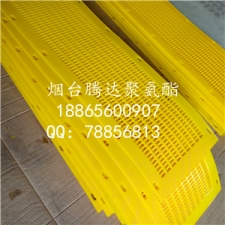 進口原料生產(chǎn)聚氨酯弛張篩網(wǎng)產(chǎn)品圖片