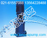 供應(yīng)150DL160-25×5多級(jí)法蘭連接泵產(chǎn)品圖片