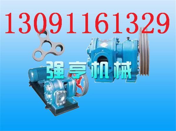 石家莊強(qiáng)亨不銹鋼特稠油羅茨轉(zhuǎn)子泵流量大效率高產(chǎn)品圖片