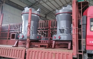 雷蒙磨配件 雷蒙磨磨環(huán)