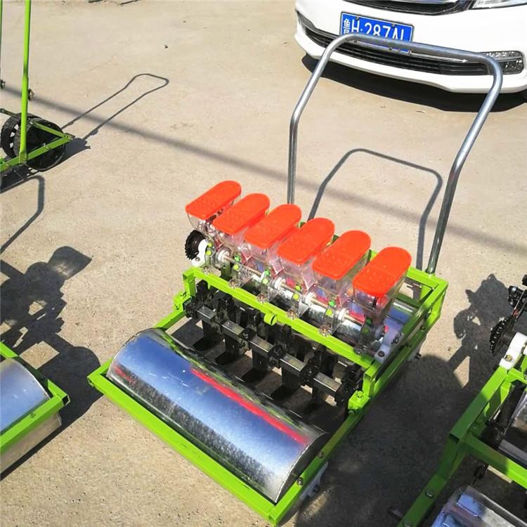  小粒種子播種機(jī)  手推式菠菜水稻播種機(jī) 自走式多行播種機(jī)