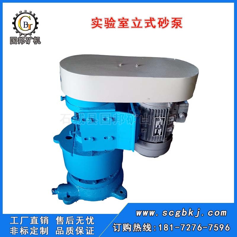 實(shí)驗(yàn)室砂泵 XBSL立式砂泵 小型礦漿輸送泵 尾礦渣漿泵