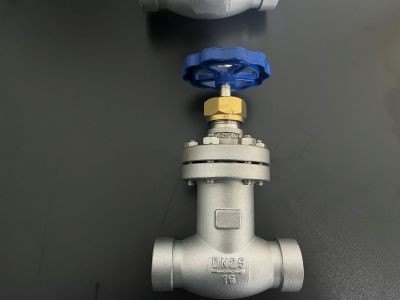 波紋管安全閥KHWJ32F16P