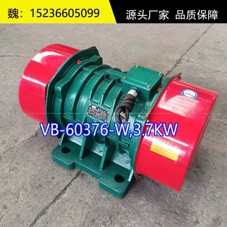 VB-60376-W振動(dòng)電機(jī)6級(jí)振打電機(jī)廠家產(chǎn)品圖片