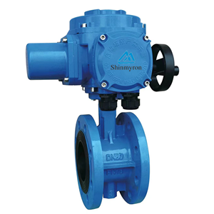 興麥隆 EB3026-CB6100F法蘭電動蝶閥