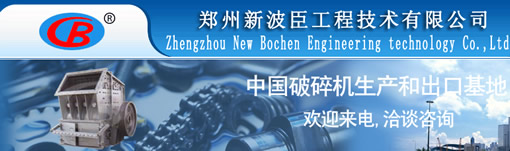 鄭州新波臣工程技術(shù)有限公司