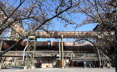 寧國水泥廠生產(chǎn)現(xiàn)場優(yōu)美整潔