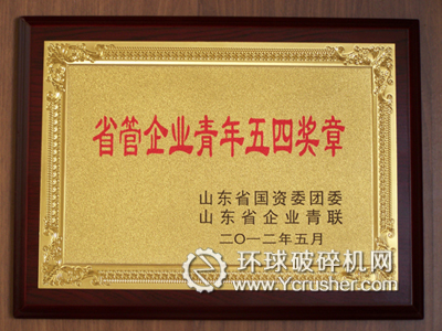 劉懷成榮獲&ldquo;省管企業(yè)青年五四獎(jiǎng)?wù)?rdquo;