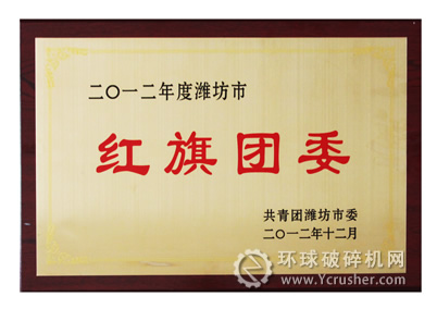 華特榮獲“2012年度濰坊市紅旗團委”稱號
