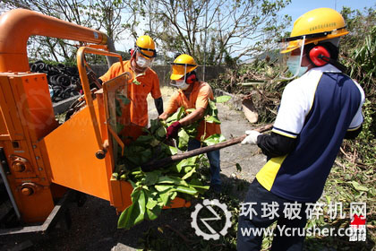 利用破碎機(jī)，制木屑再利用