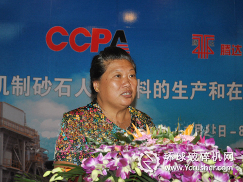 工信部原材料司副司長高秀英 