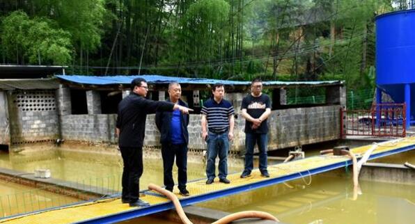 益陽市生態環境局桃江分局負責人實地查看廢水處理廠設備試運行情況。